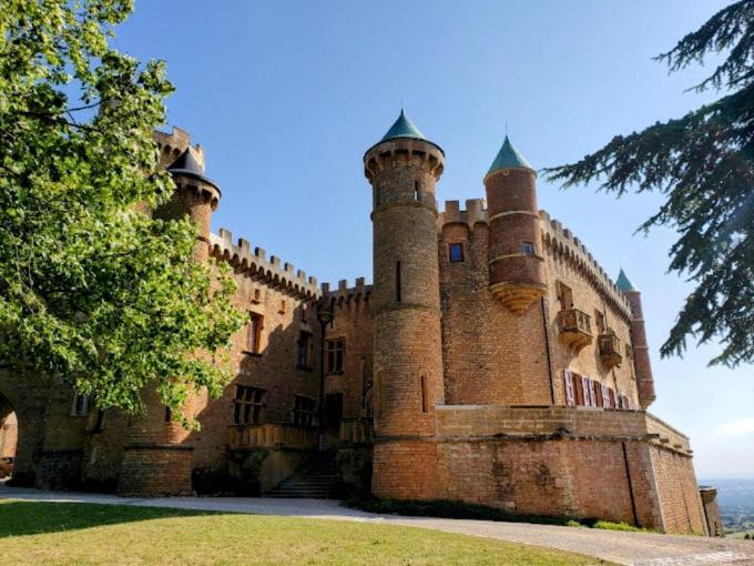 Villefranche-sur-Saône Ravissant Appartement T2 Proche Autoroute Et Centre-Ville מראה חיצוני תמונה