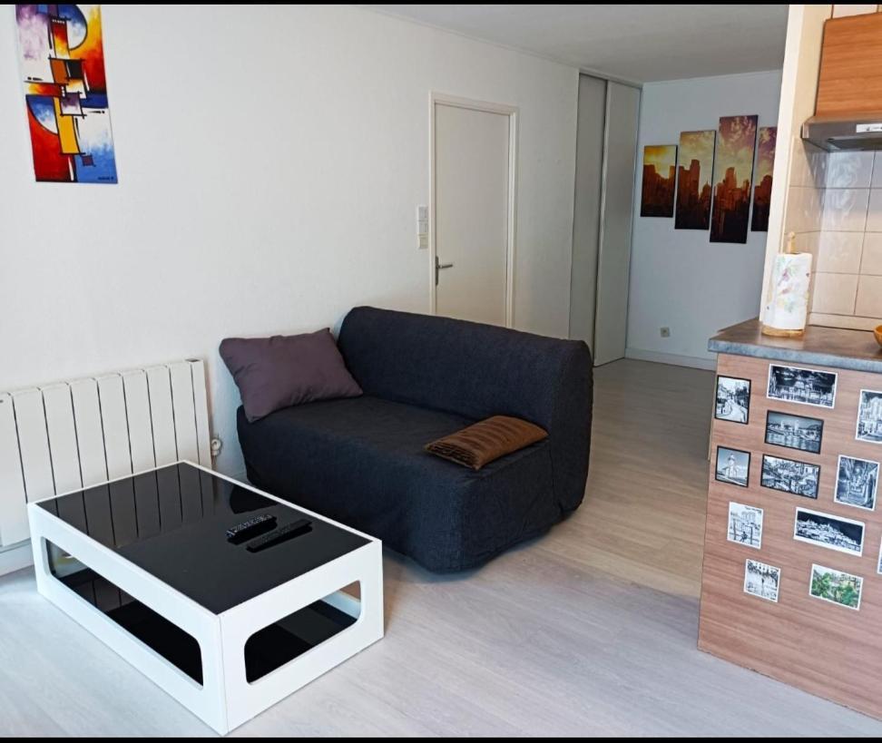 Villefranche-sur-Saône Ravissant Appartement T2 Proche Autoroute Et Centre-Ville מראה חיצוני תמונה